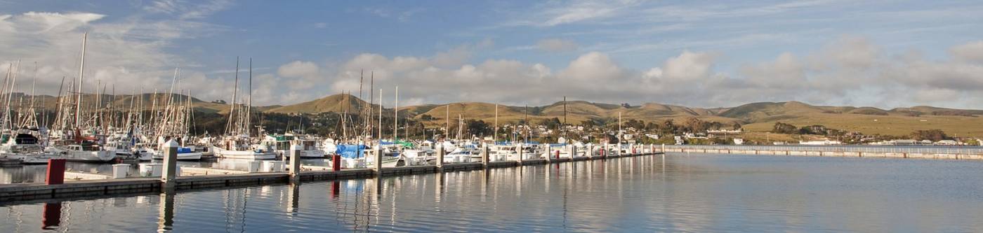 A marina near Bodega Bay, CA