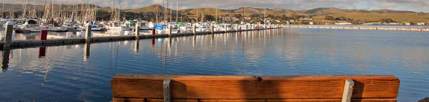 Pier Bench Looking Out At Harbor In Bodega Bay