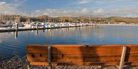 Things to See and Do in Bodega Bay